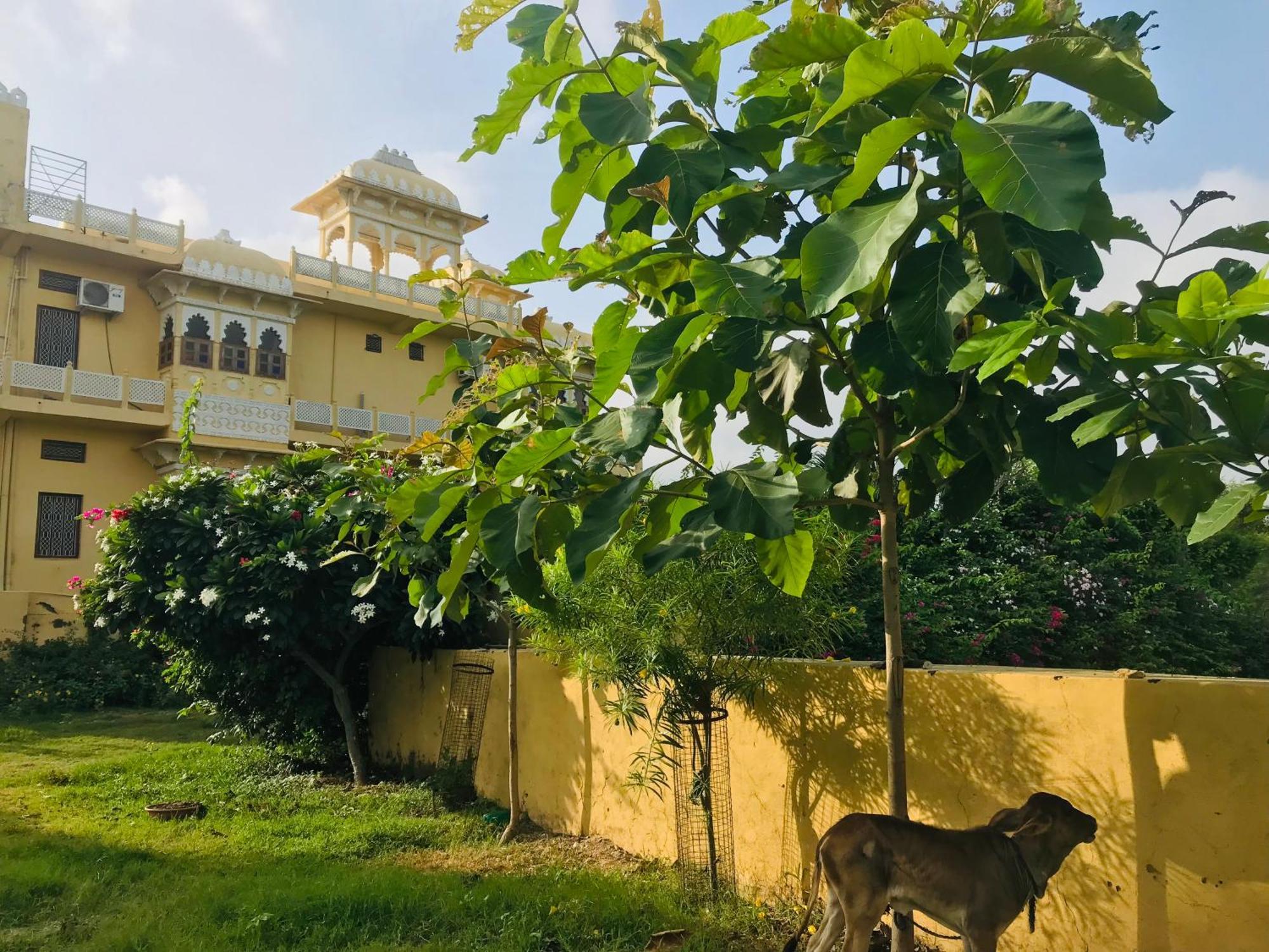 Deogarh Hills A Village Experience Property Kaunthal Zewnętrze zdjęcie